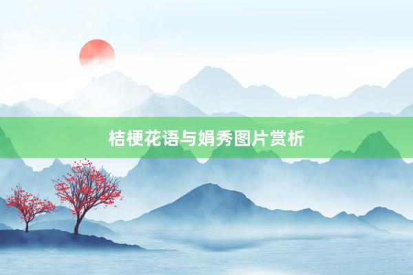桔梗花语与娟秀图片赏析