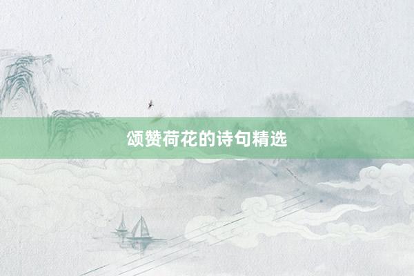 颂赞荷花的诗句精选