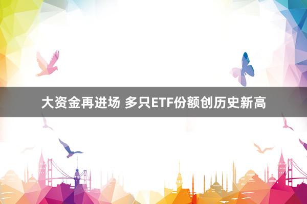 大资金再进场 多只ETF份额创历史新高