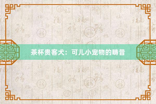 茶杯贵客犬：可儿小宠物的畴昔