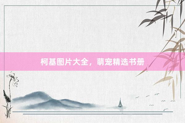 柯基图片大全,萌宠精选书册